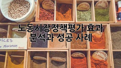 노동시장정책평가: 효과 분석과 성공 사례