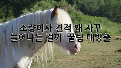 📦 소량이사 견적, 왜 자꾸 늘어나는 걸까? 💰 꿀팁 대방출!