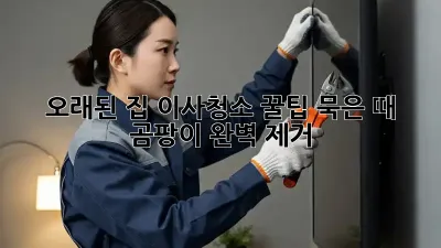 오래된 집 이사청소 꿀팁: 묵은 때, 곰팡이 완벽 제거!