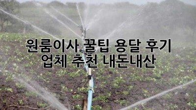 원룸이사 꿀팁🍯 용달 후기 & 업체 추천 (내돈내산)
