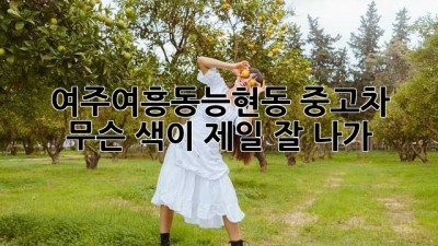 여주·여흥동·능현동 중고차, 무슨 색이 제일 '잘 나가'? 🚗💨