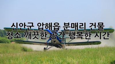 신안군 압해읍 분매리 건물 청소: 깨끗한 공간, 행복한 시간